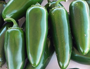 jalapeno m